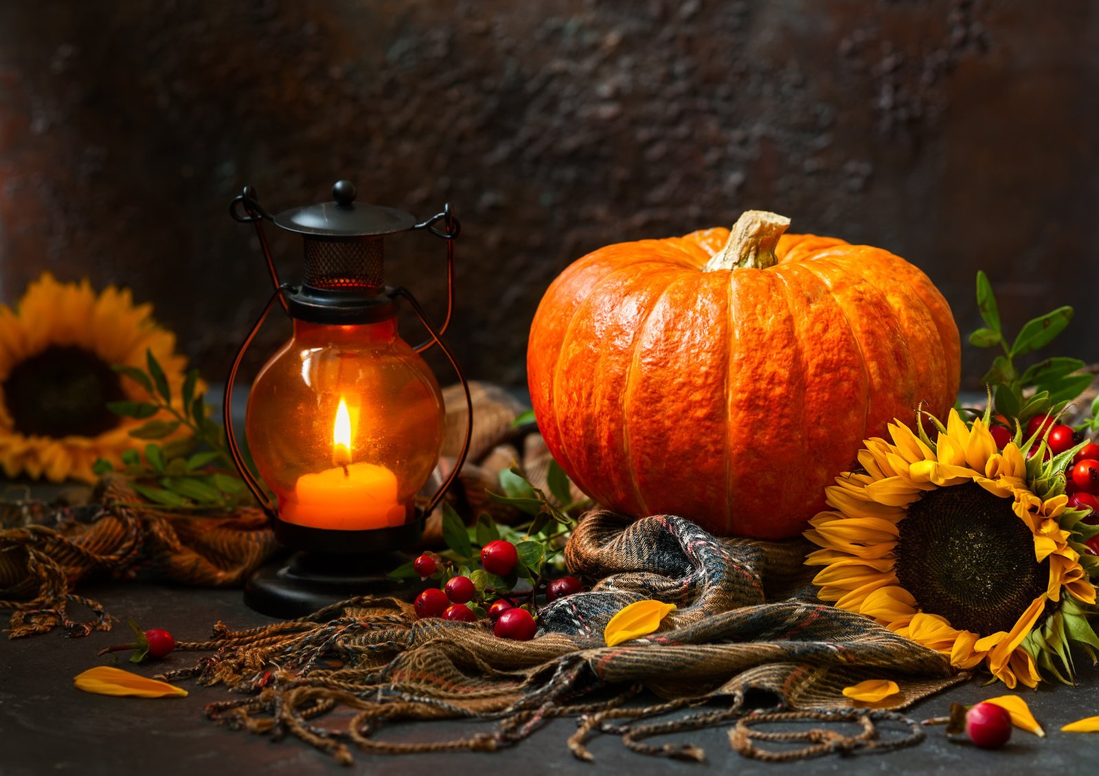 Prepare For the Wonderment of Fall